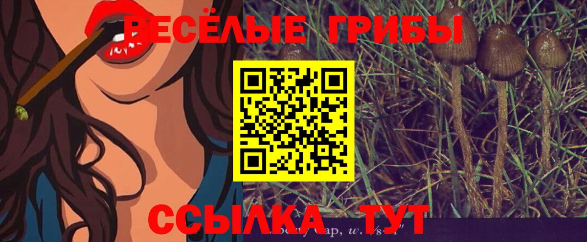 Псилоцибиновые грибы мухоморы Качканар